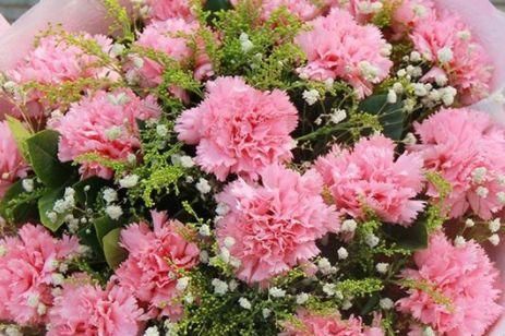  『家里』家里养这几款花，沾土就活，开花一簇一簇，阳台变成“大观园”