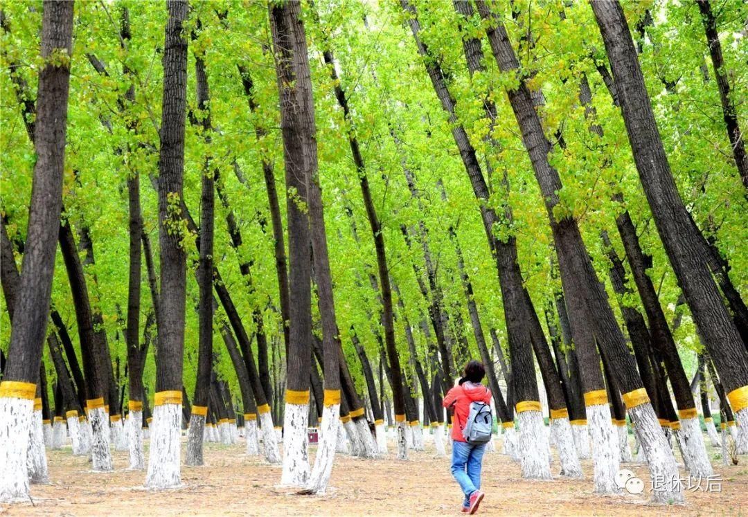  「长阳农场」旅游 | 滨水森林公园，点亮房山新城