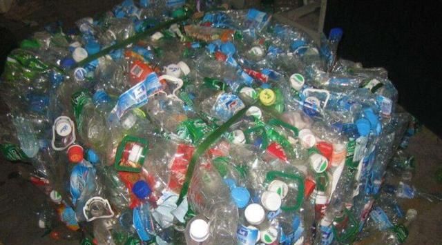  「利用塑料瓶」养花常忘浇水，试着收集“1种破烂”，能自动浇水，还有多种用途