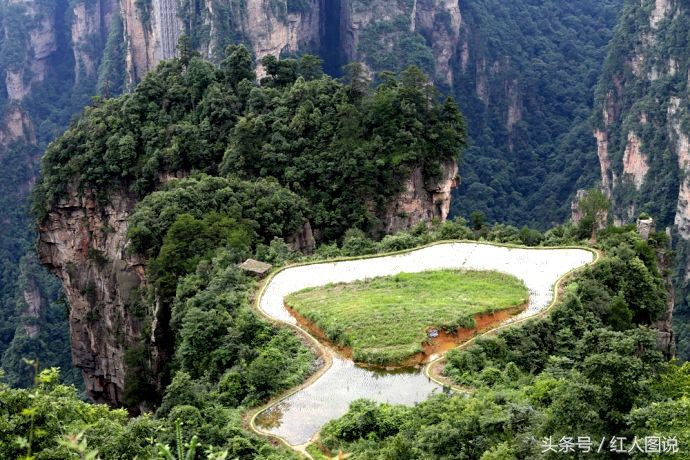 世界上最险的一块“空中稻田”:位于万丈高峰顶上，就在中国