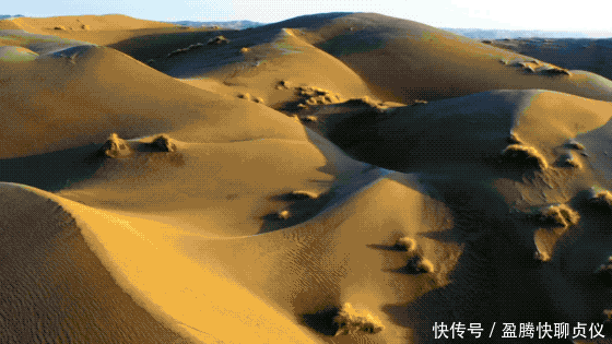 这部纪录片央视发力了,每一帧都可以当壁纸,BBC也无法超越