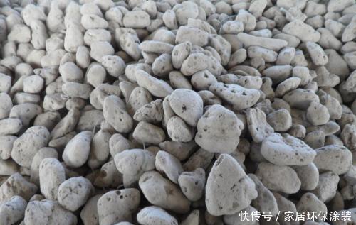  不再|养花怕“烂根”？“3种”东西来助你，盆底加一点，烂根不再有！