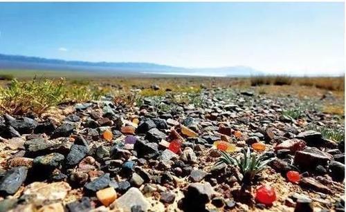这么热的天跑到新疆，只为捡几块这样的石头?这些游客怎么了