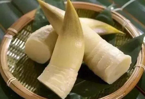  『来犯』食补不如药补！老中医：4种东西春天吃，大病小灾不来犯