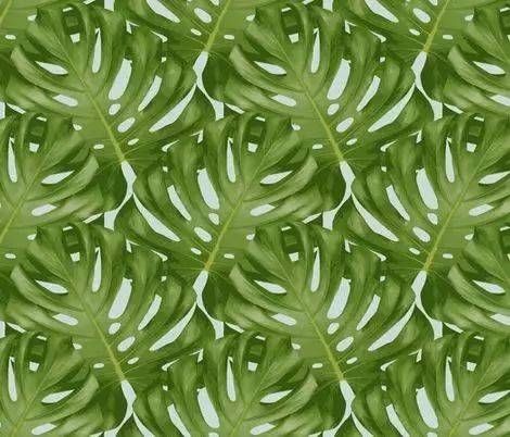  「植物叶片」切叶 | 插花造型艺术中的配角！