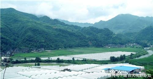  补贴@农村直补来了，3类农民补贴越来越多，但有这4种情况的将拿