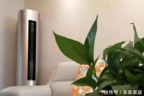 养花:客厅这四个地方不要养花,养了也要尽快搬走,别不当回事!