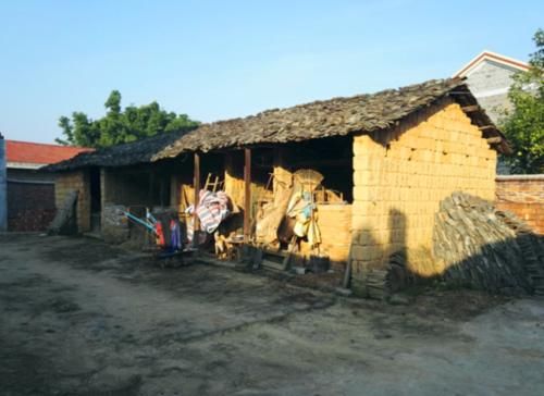  农村：10年之后，农村的什么会最有价值？不是车子房子，而是这