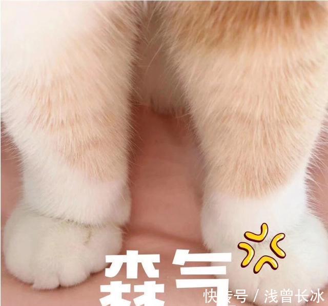 无色@爱化妆女孩看过来,春夏拒油腻,平价大牌控油散粉好物你pick谁?