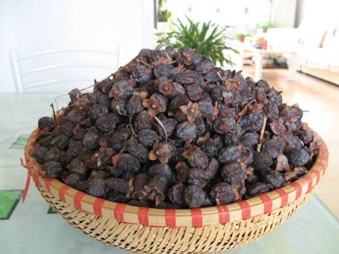  果子：乡下这种果子，黑不溜秋的果子，在河南的农村常见