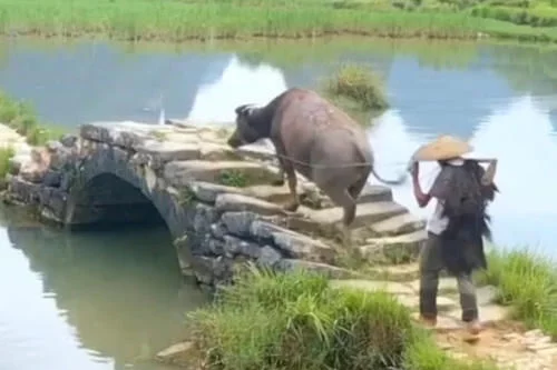 这里风景美如画“硬核”吟诗赠天下:谁家玉女桥上过,好似漫步水中仙【2020热门旅游景点】