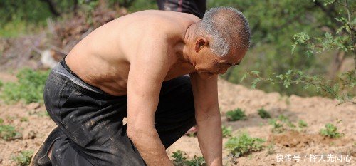 7旬老人农田里光膀子干活，说到三个孙子顿时眉开眼笑