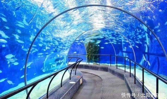  [港珠澳大桥]海南又一烧钱工程，成本比港珠澳大桥还要高，网友