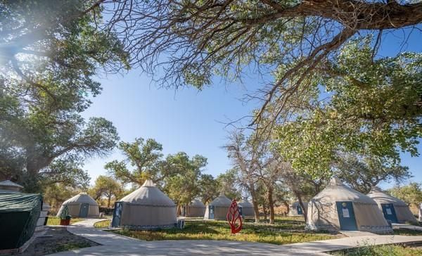 住在胡杨林间，感受醉美金秋，这个景区别错过！