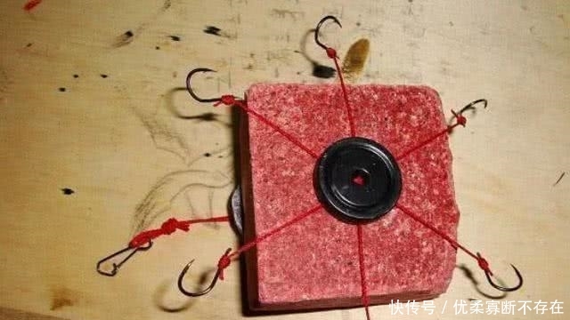 「钓法」再三确认,鲤鱼按我说的钓,一周连钓五天还不够,不信就试试