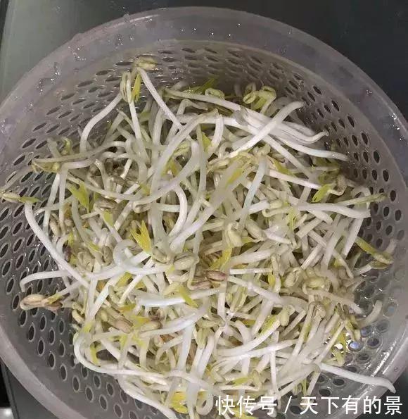  养花■想吃豆芽，1个“可乐瓶”就能做，只花豆子钱，7天就行！