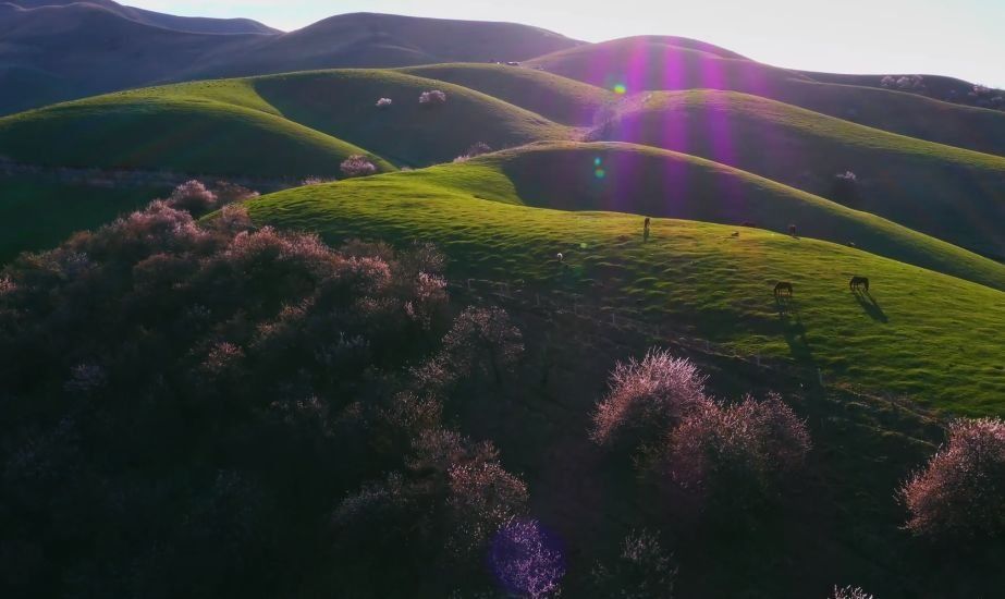 一遇新疆误终身，从此天堂是路人