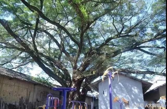 “江南第一村”蒋经国亲笔提名的村庄