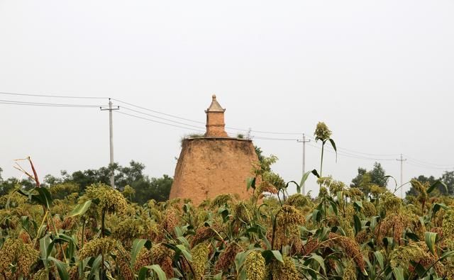 陕西关中才是“天府之国”？去了黄河边这个地方后，我信了