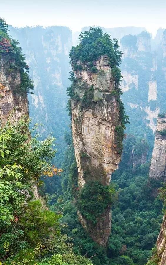 绝世照片，轰动世界