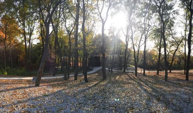 刷脸启动马桶、wifi全免费……中国诞生最美公厕