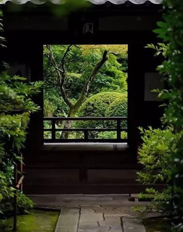 当你老了，我们去乡村安家