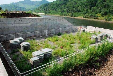 2019年起，国家“五大行动”助力乡村振兴，农民朋友有福了