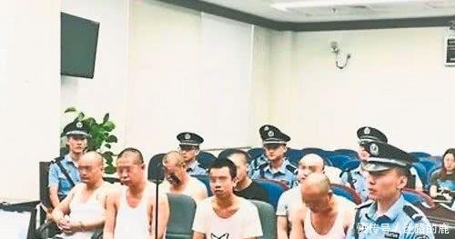 碰瓷集团遭人恨,为求逼真先断手臂再诈财,合作天衣无缝