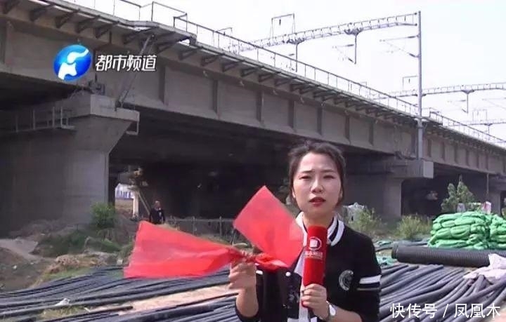 昨天京广高铁紧急停车20分钟! 多趟列车晚点! 始作俑者就是你!