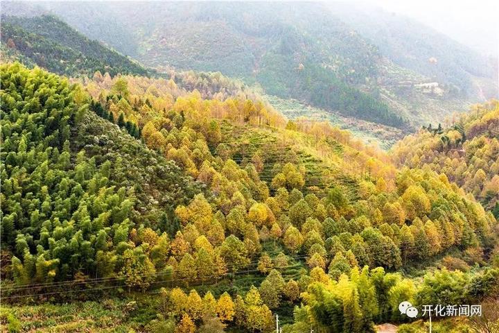 改革开放40年，开化农村发生什么变化？山里农民举了这些例子...