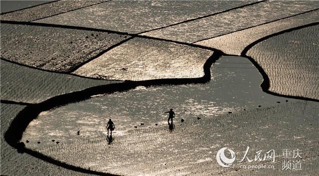  「追赶」重庆南川：追赶太阳的农人