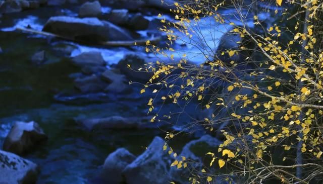 不到新疆，都不知道中国的秋天有多美！秋天的丝绸之路景色宜人