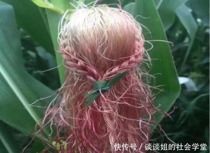 父亲带女儿回农村掰玉米，半晌没动静，回头看去直夸女儿有才