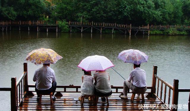  水域的水温■春雨过后好钓鱼！为什么大雨、暴雨后没口呢原因就在这4方面