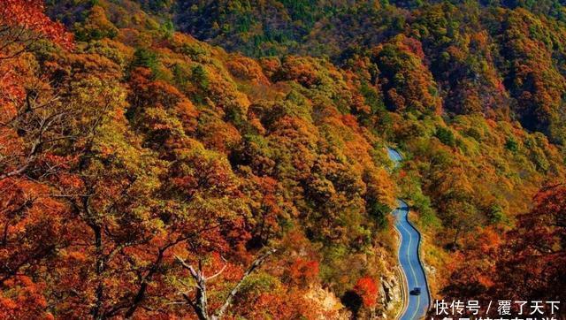 安徽旅游:大山深处一抹红,马丁公路、马鬃岭秋色美翻了