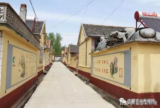 农民有福了!今年农村将实施“三通”工程，老农:终于等来好消息