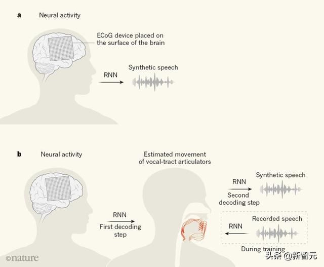 Nature重磅：华裔科学家成功解码脑电波，AI直接从大脑中合成语音