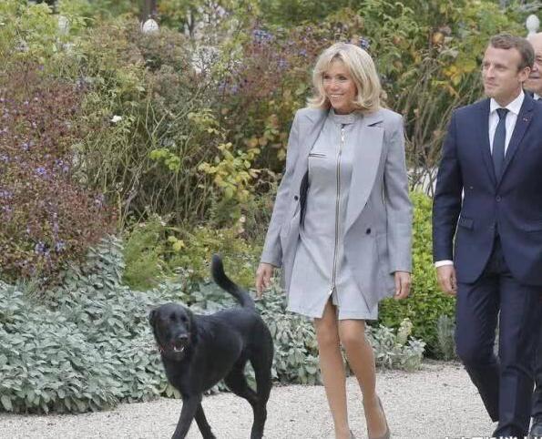 法国第一夫人带狗出行！64岁穿包臀裙 紧身裤 高跟鞋，厉害！