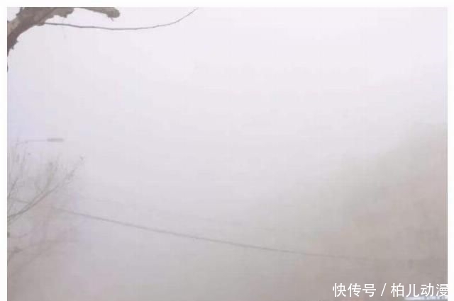  【高速】上高速突然下暴雨，打开雾灯还是双闪？交警：再说最后