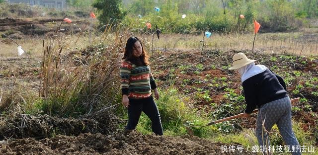  农业社会@老人说“5谷4体不分者属庸人”，5谷4体是啥，70后都不