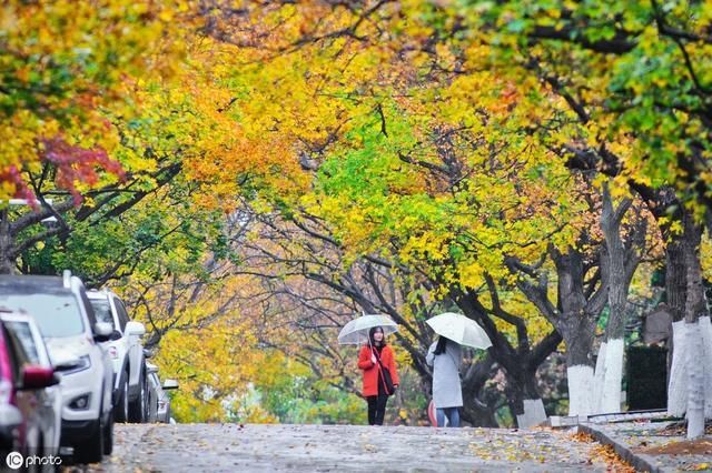 秋天的八大关，绝了