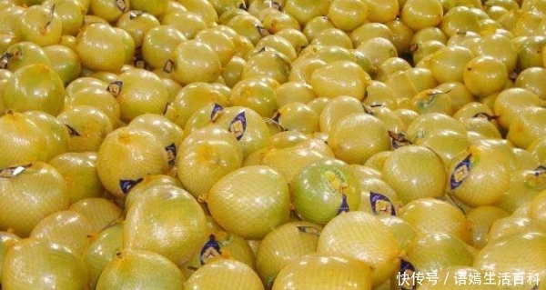  [想太多]红心柚1斤9毛，随便摘！果农：这价格能卖掉就好，不敢