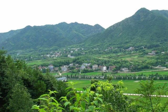 以前农村信息不对称，山里值钱的东西都被外人骗走!你经历过吗?