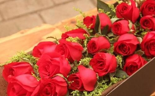 「寓意」养花就养“精品玫瑰”卡罗拉,红艳似火,寓意炽热的爱情!?