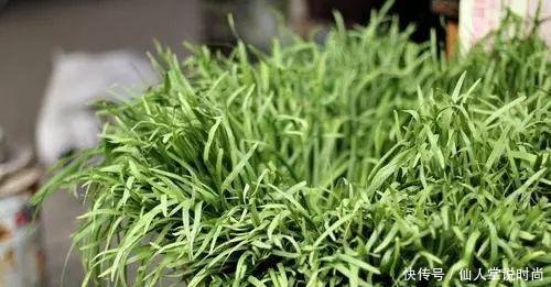  试试■都说种韭菜可以多次采摘，我准备好泡沫箱，试试种在阳台上