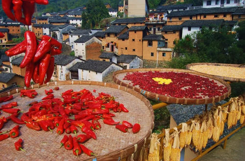 比宏村人少，比篁岭更美！浙江周边藏着一座隐世小村落，拥有最撩