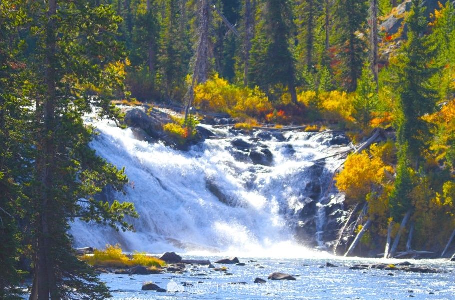 神奇黄石，世界国家公园的大哥大