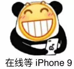  小雷：你的iPhone 9没了？！