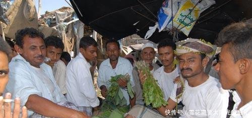 这个国家人们爱吃“树叶”，每天要吃4个小时，中国不允许种植