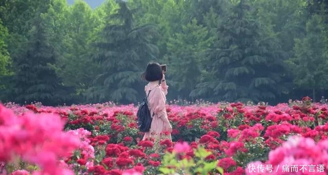 开学了，去青岛最美大学去逛一逛吧，个个堪比5A级景区